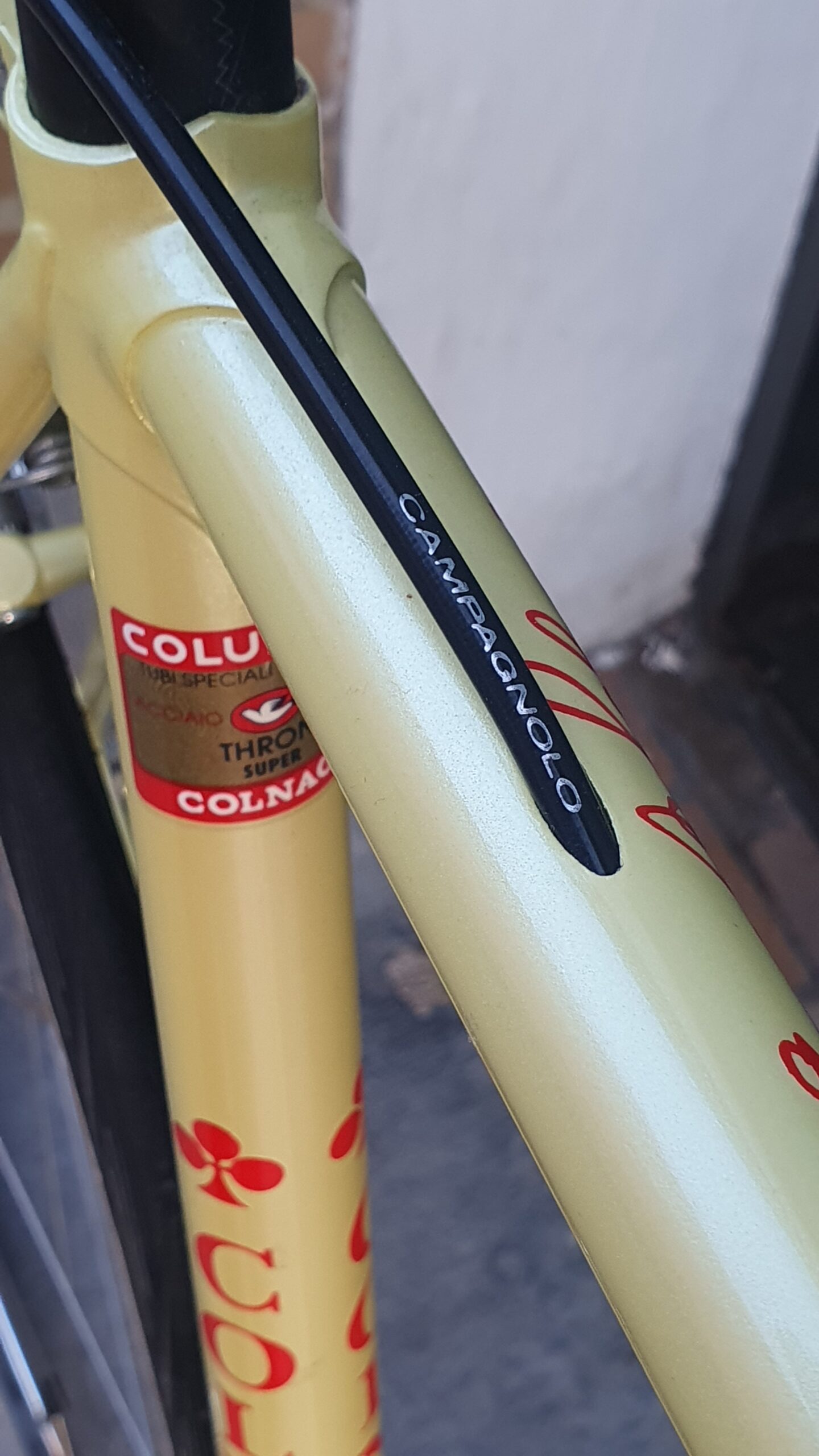 COLNAGO super Thron