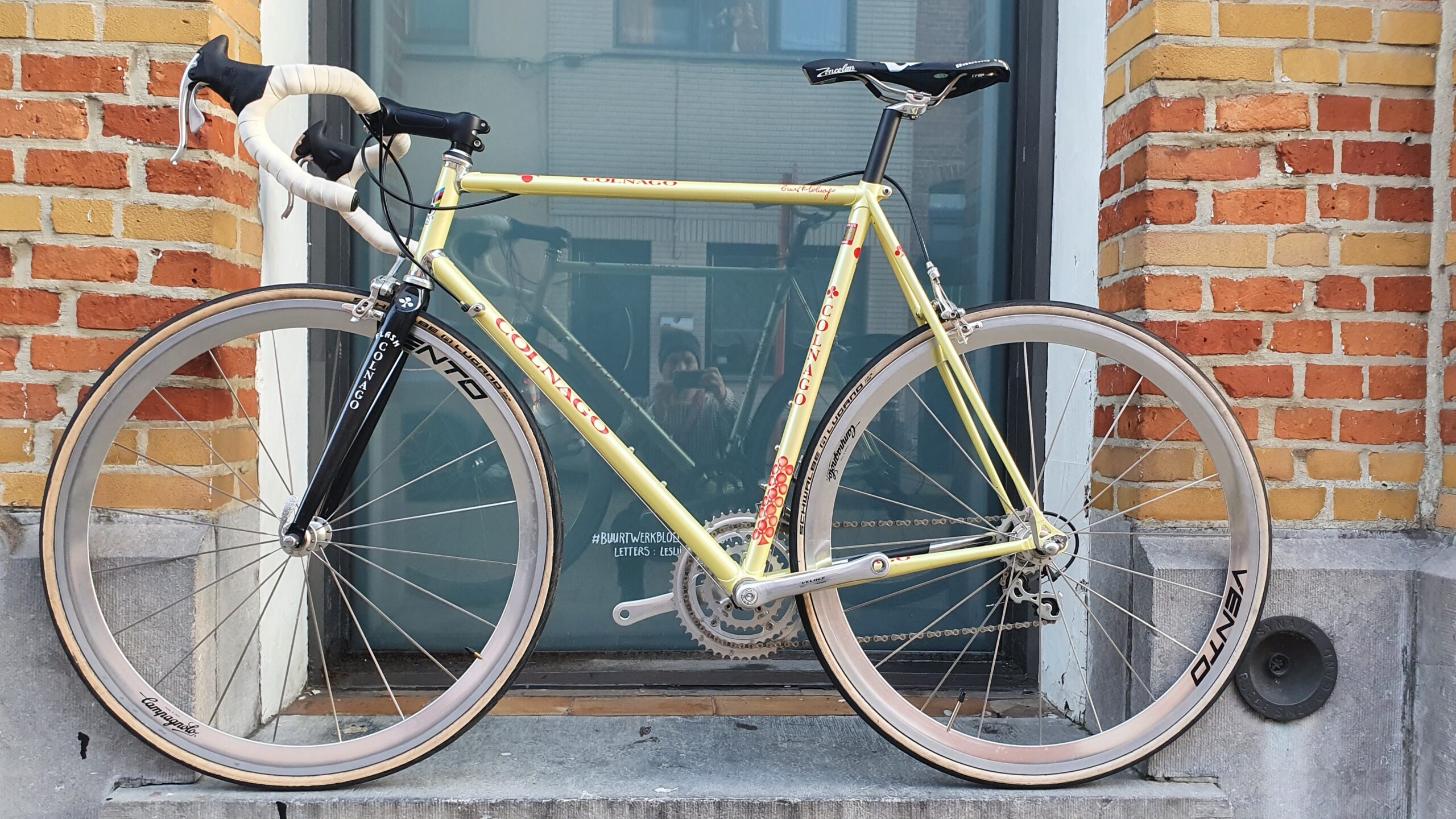 COLNAGO super Thron