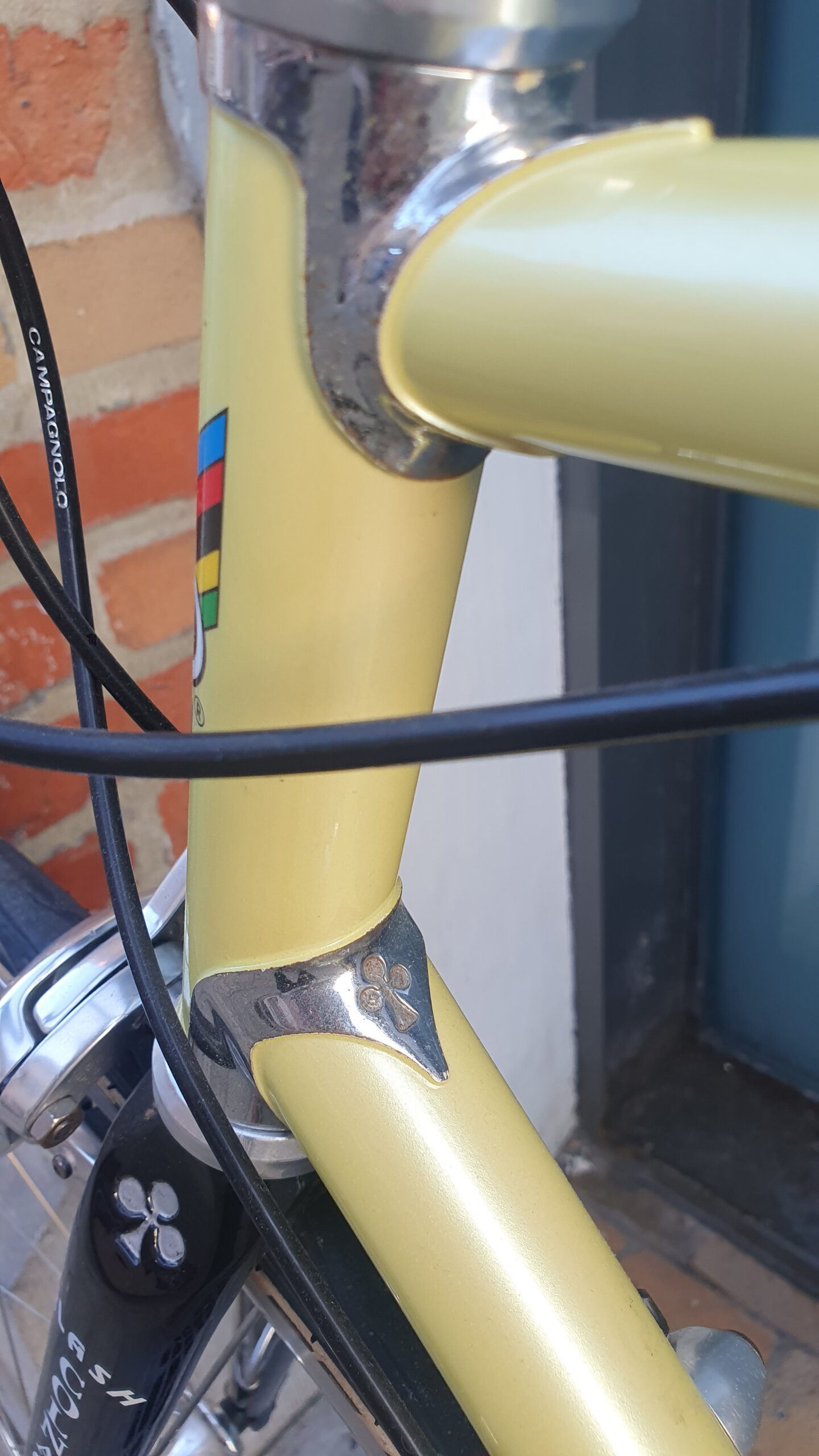 COLNAGO super Thron