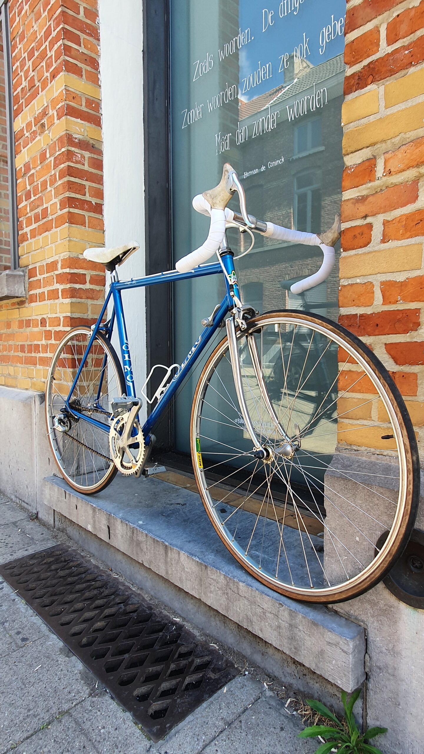 OLMO 50th anniversary
