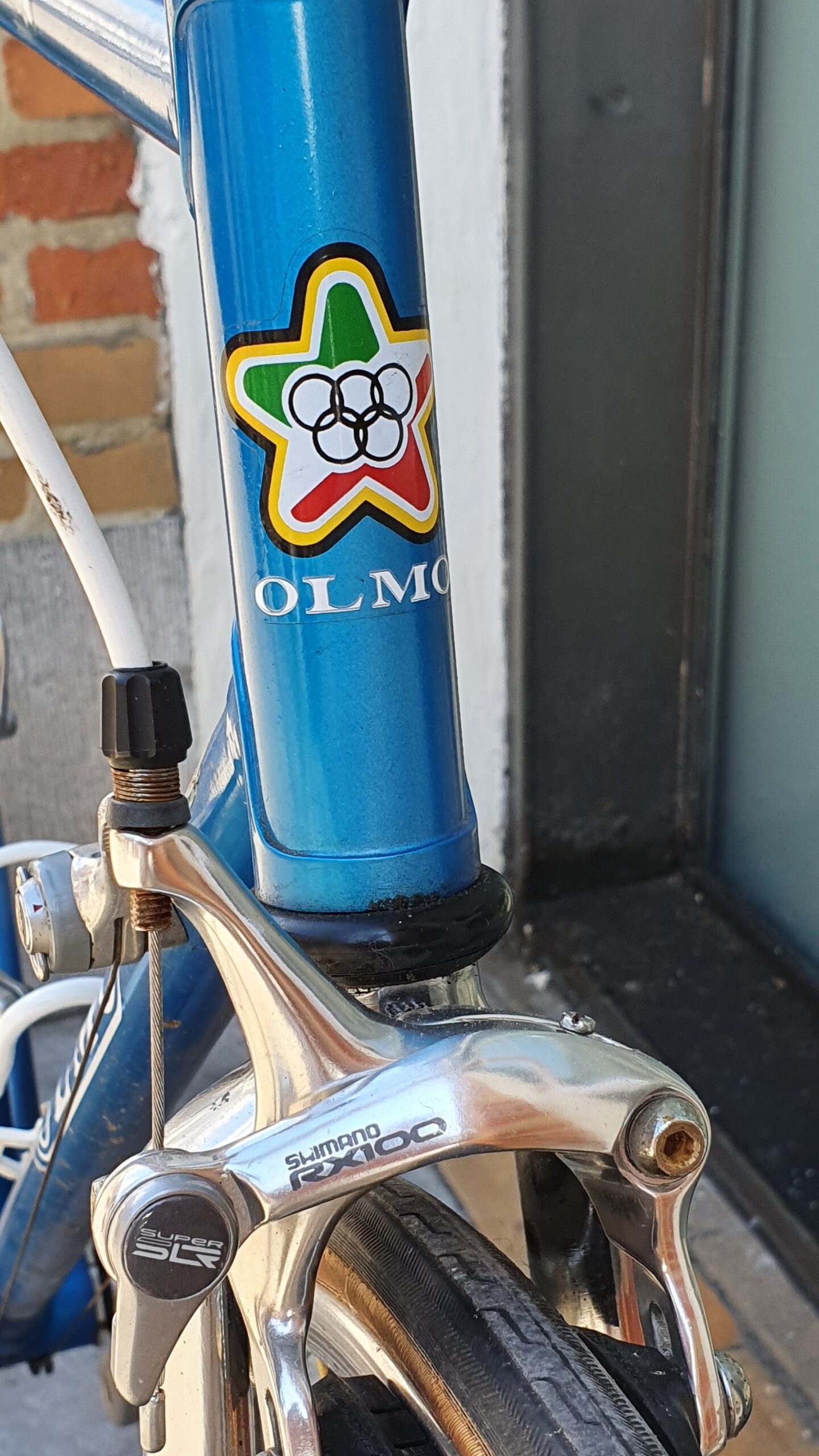 OLMO 50th anniversary