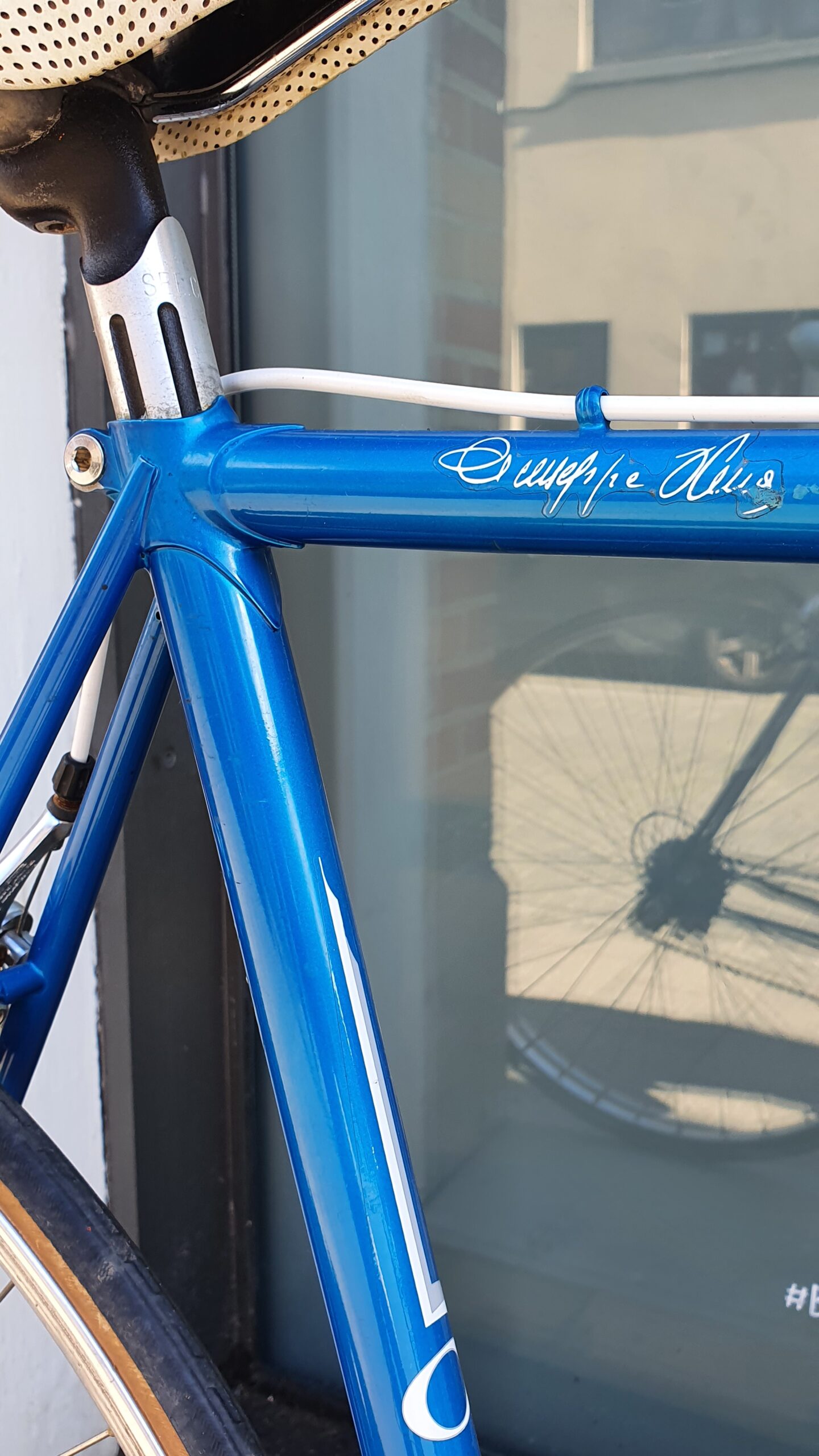 OLMO 50th anniversary
