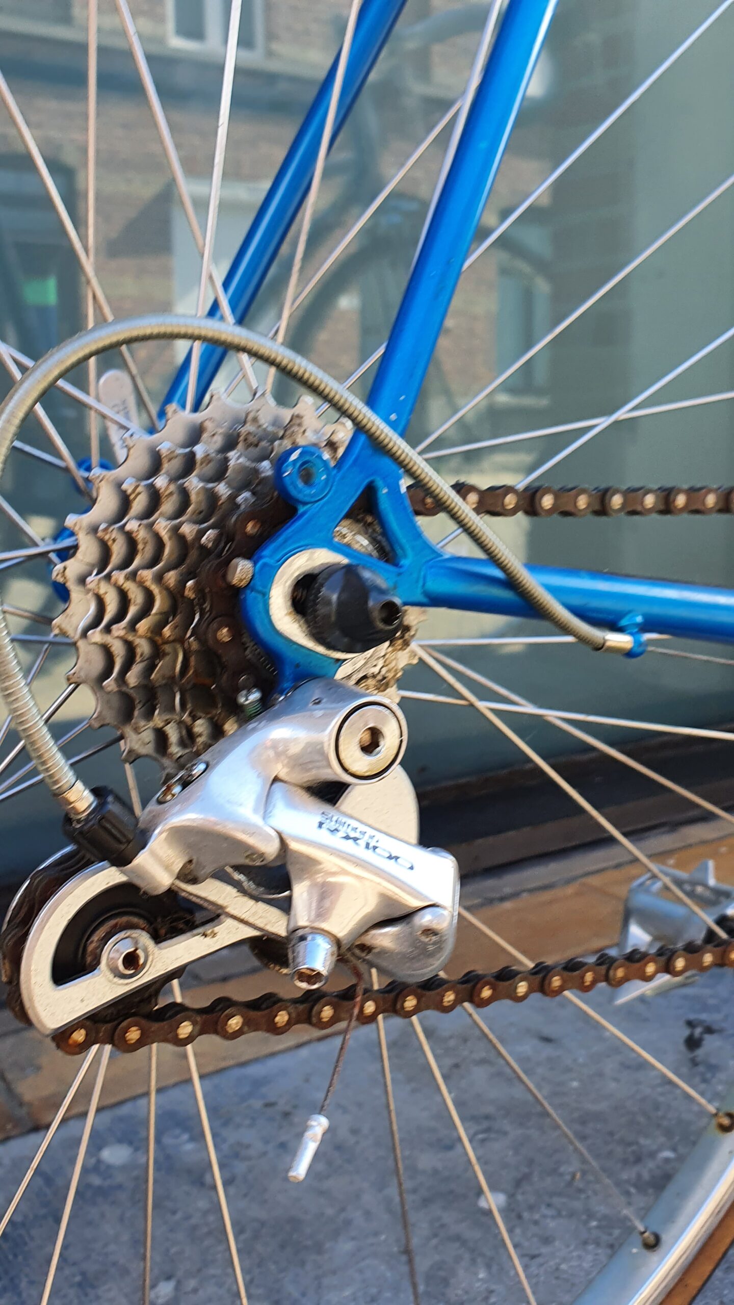 OLMO 50th anniversary