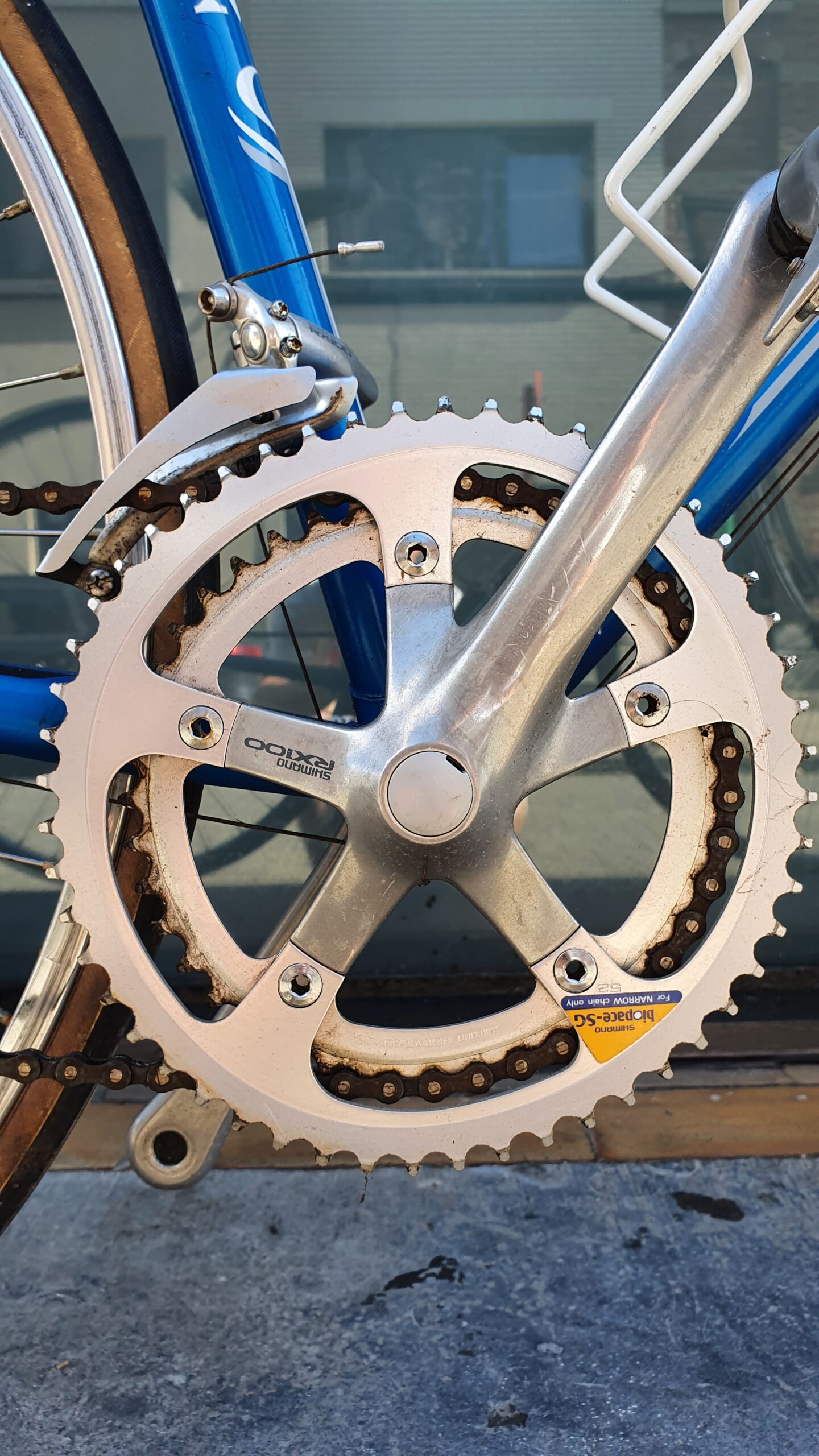 OLMO 50th anniversary