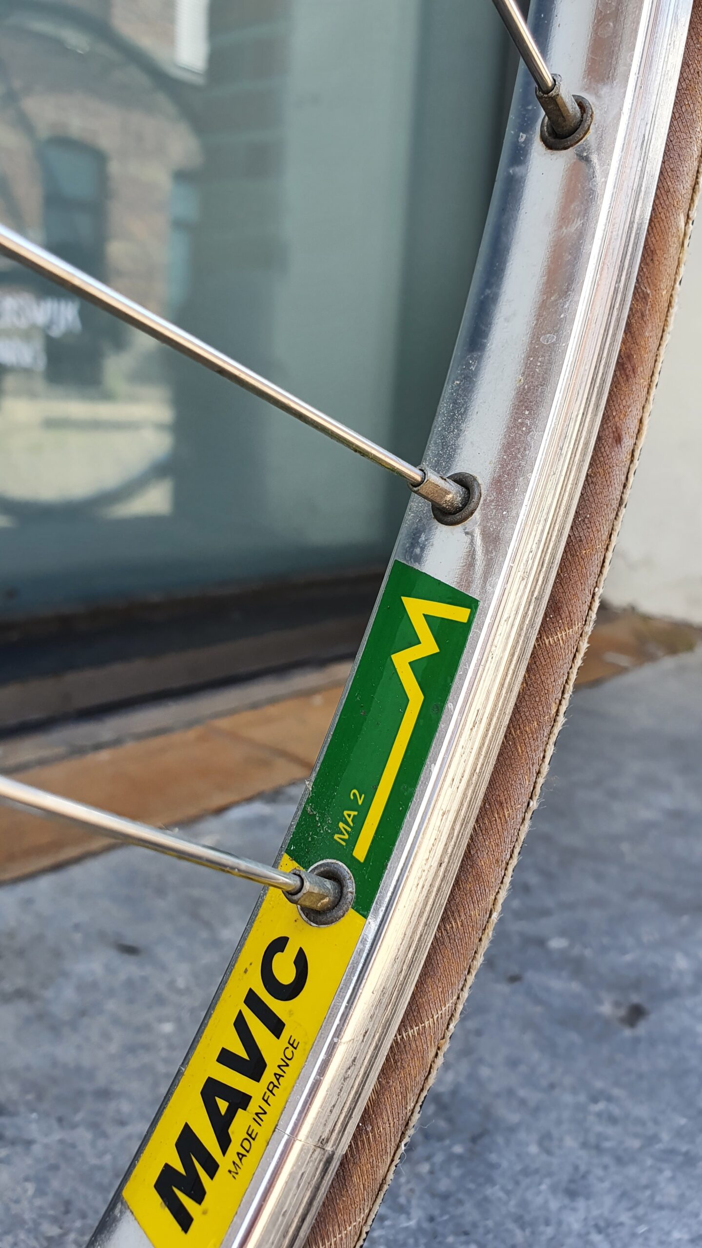 OLMO 50th anniversary